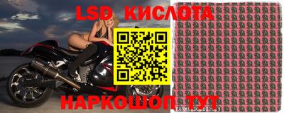 стаф Краснознаменск