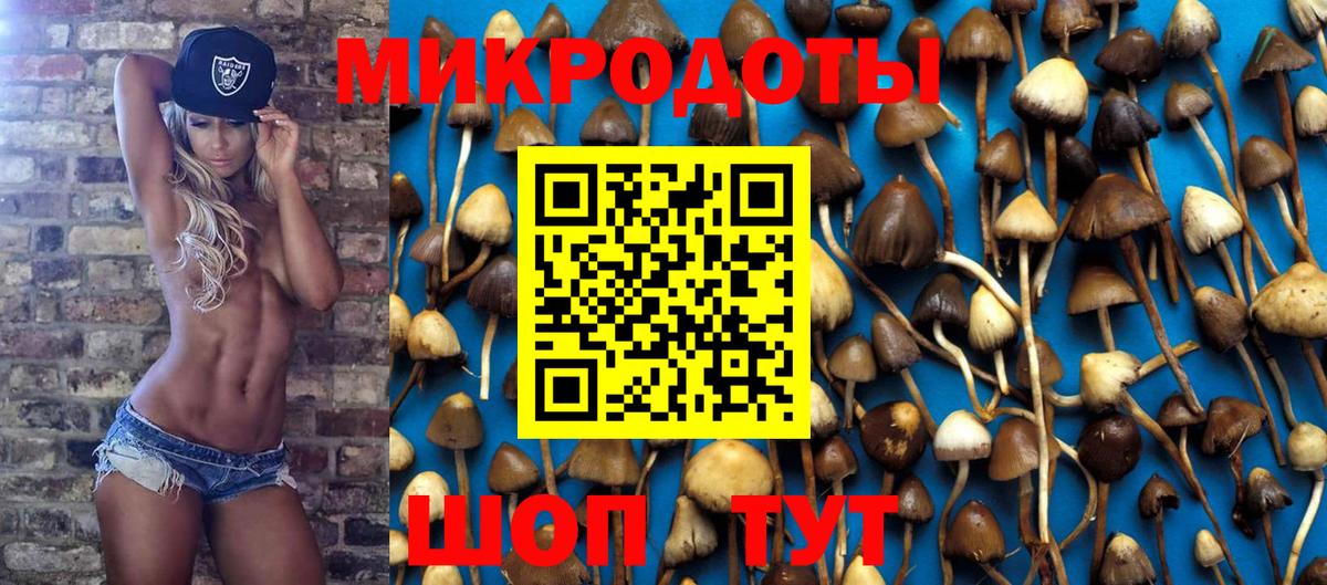 Галлюциногенные грибы GOLDEN TEACHER  Вход с VPN  цена наркотик  Псков  Псилоцибиновые грибы MAGIC MUSHROOMS 