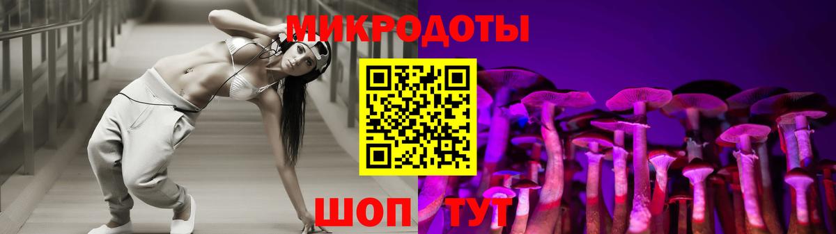 Галлюциногенные грибы Psilocybine cubensis Псков